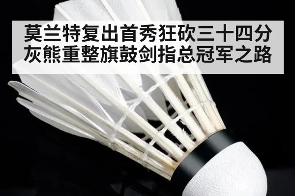 莫兰特复出首秀狂砍三十四分灰熊重整旗鼓剑指总冠军之路